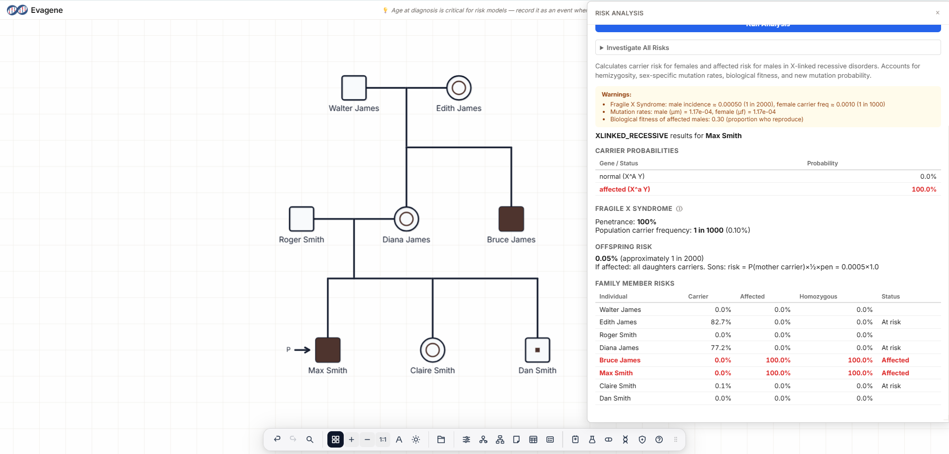Evagene screenshot: X-linked recessive risk analysis for Fragile X Syndrome showing carrier probabilities, offspring risk, and family member risk breakdown