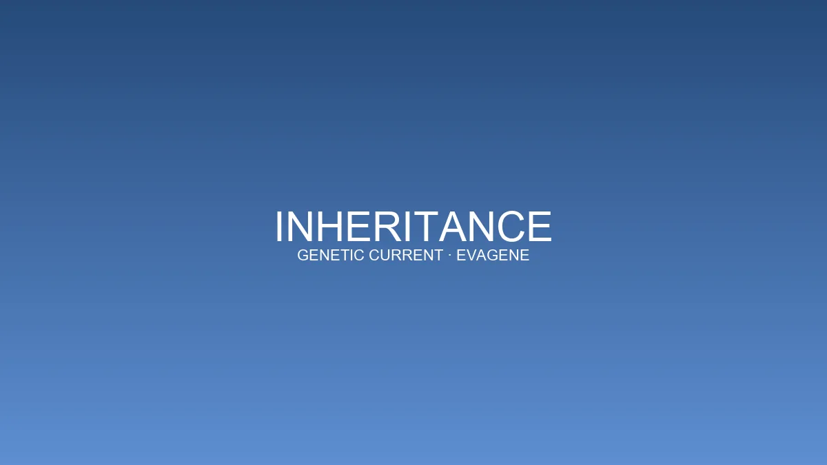 Illustration for inheritance story