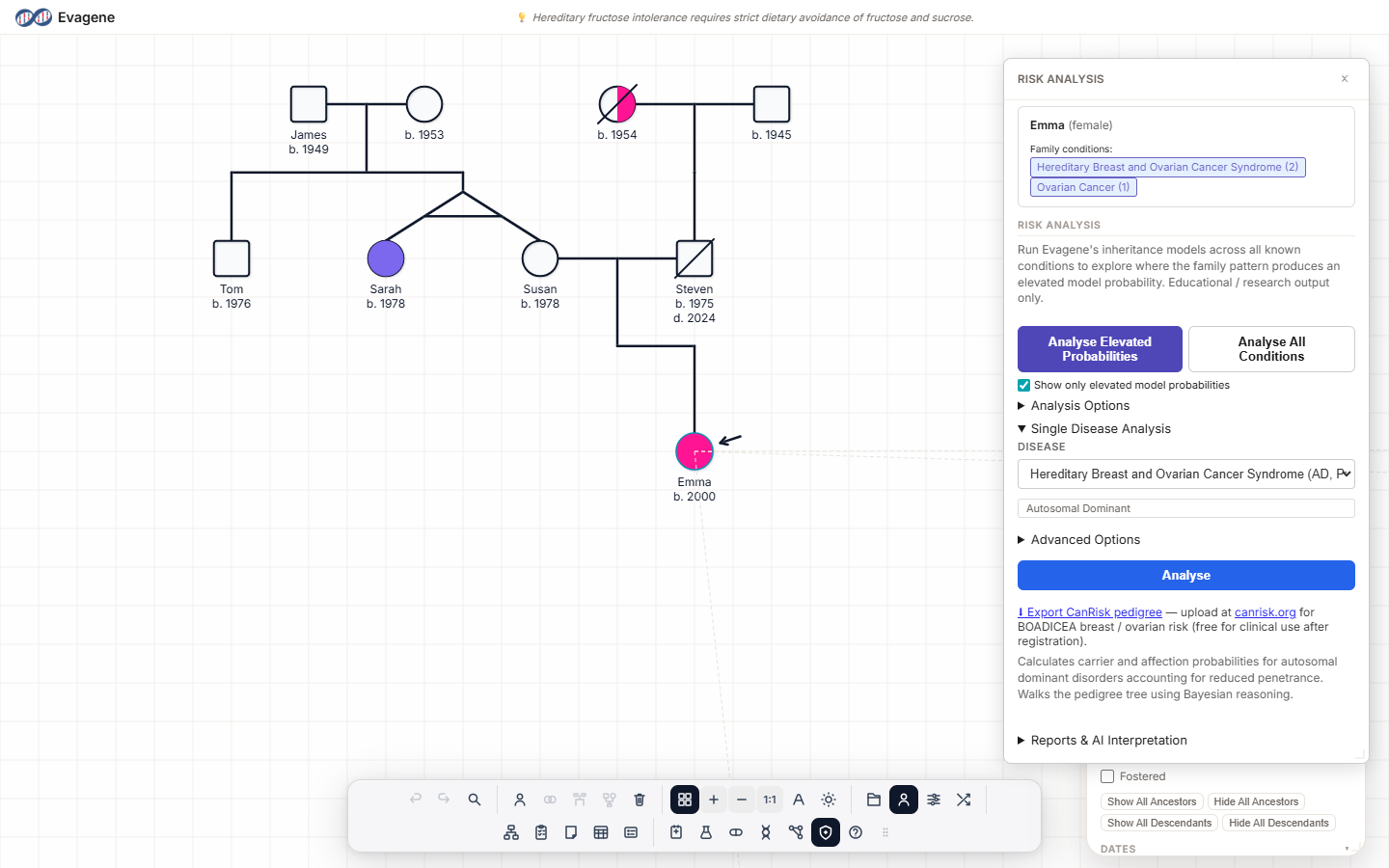 The Single Disease Analysis controls in the Risk Analysis panel on an example breast-cancer family.